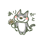 あめねこ（個別スタンプ：3）
