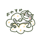 あめねこ（個別スタンプ：8）