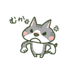 あめねこ（個別スタンプ：20）