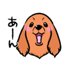 ミニチュアダックススタンプ（個別スタンプ：9）