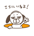 腹巻犬さだきち（個別スタンプ：1）