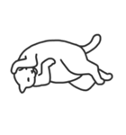 ねこがみている（個別スタンプ：14）