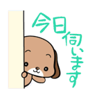 患者の気持ち（個別スタンプ：24）