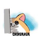 わんわんズ（個別スタンプ：30）