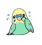 セキセイズ（個別スタンプ：13）