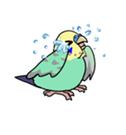 セキセイズ（個別スタンプ：14）