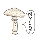 きのこの世界（個別スタンプ：19）