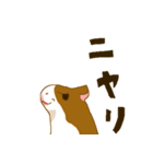 モルモット（個別スタンプ：26）