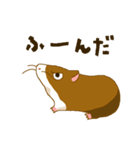 モルモット（個別スタンプ：40）