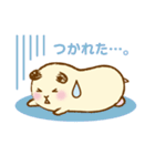 キンクマハムスターのふぅた（個別スタンプ：13）