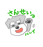 らぶミニチュアシュナウザー（個別スタンプ：30）
