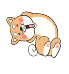 柴犬「しばさん」（個別スタンプ：29）