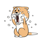 柴犬「しばさん」（個別スタンプ：32）