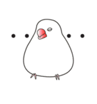 インコのぴーちゃん2（個別スタンプ：37）