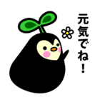風船かずらのタネ（個別スタンプ：40）