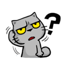 Meow Zhua Zhua - No.2 -（個別スタンプ：3）