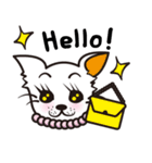 キラキラ★チワワ（個別スタンプ：4）