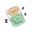 トイプーのモモとチャチャ（個別スタンプ：29）