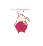 いちごねこ（個別スタンプ：40）