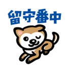 柴犬（個別スタンプ：8）