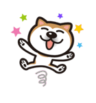 柴犬（個別スタンプ：37）