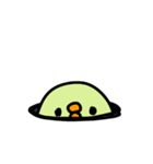 カラーひよこ（個別スタンプ：12）