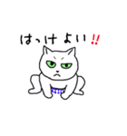猫だけど？（個別スタンプ：2）