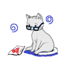 ねこのいっしょう（個別スタンプ：13）