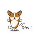 犬種別スタンプ⑨ コーギー（個別スタンプ：20）