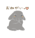 飼ってよ！うさぎちゃん（個別スタンプ：9）