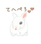 飼ってよ！うさぎちゃん（個別スタンプ：13）