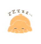 飼ってよ！うさぎちゃん（個別スタンプ：19）