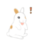 飼ってよ！うさぎちゃん（個別スタンプ：22）
