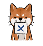 柴犬のふじ（個別スタンプ：2）