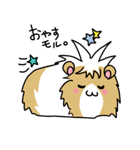 モルモットのたんぽぽ（個別スタンプ：16）