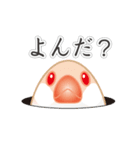 ぶんちょろりん（個別スタンプ：18）