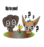 Cute Chihuahua dogs - best friends set（個別スタンプ：18）
