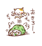ねこの肉球＠博多編（個別スタンプ：37）