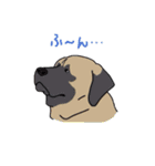 毎日 おっきな犬スタンプ（個別スタンプ：13）