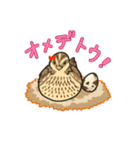 並うずら しじみちゃん（個別スタンプ：32）