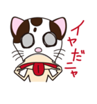 キャット・ザ・レスラー（個別スタンプ：13）