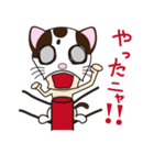 キャット・ザ・レスラー（個別スタンプ：34）