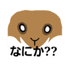 二匹のてんこてん（個別スタンプ：33）