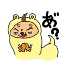 よちよち君とアルパカ（個別スタンプ：25）