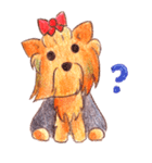 ほのぼのヨーキー（個別スタンプ：11）