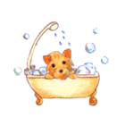 ほのぼのヨーキー（個別スタンプ：34）