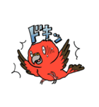 "秋草インコの日常" 鳥さんと一緒03（個別スタンプ：31）