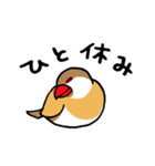 "文鳥の日常" 鳥さんと一緒02（個別スタンプ：22）
