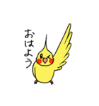 "オカメインコの日常" 鳥さんと一緒01（個別スタンプ：2）