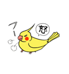 "オカメインコの日常" 鳥さんと一緒01（個別スタンプ：29）